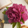 LXINDIA Plants Pure Home  Living Pink Artificial Peony with Glass Vase Plastic