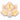 LXINDIA Candle WHITE Pure Source India Polycarbonate Cup Scented Tea Lights Candles
