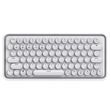 LXINDIA Keyboards Rapoo Ralemo Pre 5 (White)