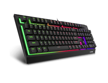 LXINDIA Keyboards Rapoo V52S