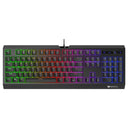 LXINDIA Keyboards Rapoo V52S