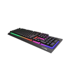 LXINDIA Keyboards Rapoo V52S