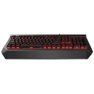 LXINDIA Keyboards Rapoo V780S