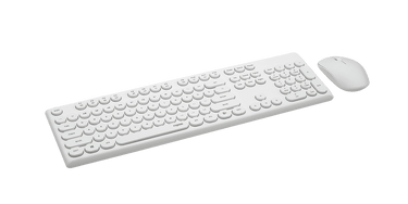 LXINDIA Keyboard and Mouse Combo Rapoo X260 (White)