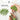 LX INDIA Face Massager SKINROTH Grade-A+ Pure Jade Stone Gua Sha Massage Tool (Green)