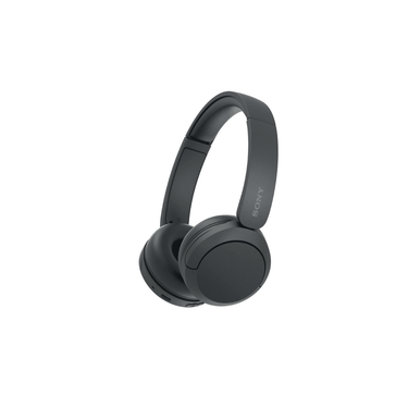 LXINDIA headphone Sony WH-CH520 (Black)