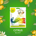 LXINDIA Air freshener SOULFRESH Air Pocket Citrus Blast Air Freshener (Pack of 3)