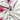 LX INDIA Bedsheet Story at Home Bedsheet for King Size Bed Off White