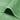 LX INDIA Towels Story@Home Bath Towel Large Size Pack of 2, 450 GSM Quick Dry Cotton Bath Towel, 70 x 140 cm Towel, Green