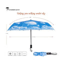 LXINDIA Umbrella SY COMPACT Travel Umbrella Windproof Automatic Umbrellas (Blue)