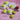 LX INDIA Tennis Ball TENNEX Cricket Tennis Ball Yellow Heavy for Over Arm Cricket (6 Pcs, Yellow Colour)