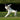 LX INDIA Cricket ball Tennex Felt Cricket Tennis Ball Hard Yellow for Over Arm Cricket (Pack of 12)