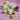 LX INDIA Tennis Ball TENNEX Rubber Tennis Ball for Cricket -(Pack of 6, Light/Soft Yellow)