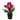 LX INDIA Plants The Better Home Artificial Plants for Home Decor(27cm Pink Tulips)