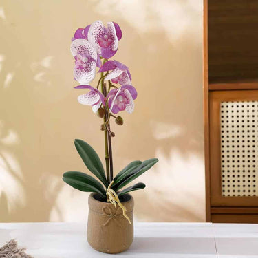 LXINDIA Plants The Better Home Artificial Plants for Home Décor