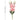 LXINDIA Plants TIED RIBBONS Artificial Gladiolus Flowers Pink