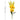 LXINDIA Plants TIED RIBBONS Artificial Gladiolus Flowers Yellow