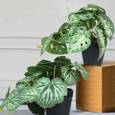 LXINDIA Plants Tied Ribbons Pack Of 2 Artificial Plants With Pot Stand For Home Decor