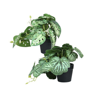 LXINDIA Plants Tied Ribbons Pack Of 2 Artificial Plants With Pot Stand For Home Decor