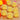 LX INDIA Tealight candle holders TIED RIBBONS Pack of 8 Crystal Tealight Candle Holder