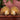 LX INDIA Tealight candle holders TIED RIBBONS Set of 2 Aluminium Decorative Peacock Tealight Candle Holder