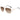 LX INDIA Sunglass Brown Tommy Hilfiger Men's Square Sunglasses