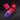 LX INDIA EAR PLUG Tomorrowland x Loop Experience 2 Earplugs Ruby
