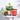 LX INDIA Self-watering plant pots UGAOO Self Watering Pots Planter for Plants - 7.5 Inch, Round (Set of 5) Multicolour
