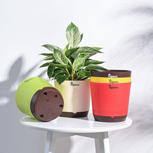 LX INDIA Self-watering plant pots UGAOO Self Watering Pots Planter for Plants - 7.5 Inch, Round (Set of 5) Multicolour