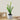 LX INDIA Plants UMAI Artificial Plants for Home Decor (White Tulips)