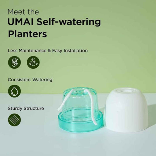 LX INDIA Self-watering plant pots UMAI Plastic Automatic Watering Planters (Pack of 4, Multicolor)