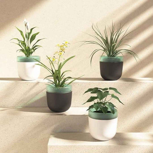 LX INDIA Self-watering plant pots UMAI Plastic Automatic Watering Planters (Pack of 4, Multicolor)