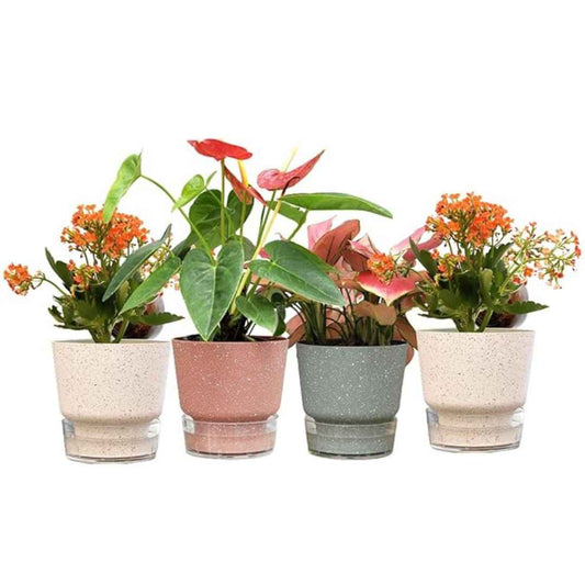 LX INDIA Self-watering plant pots UMAI Self Watering (14.5 cm) Plant Pots (Pack of 4, Multicolor)
