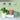 LX INDIA Self-watering plant pots UMAI Self Watering (14.5 cm) Plant Pots (Pack of 4, Multicolor)