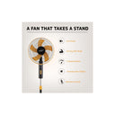 LXINDIA Pedestal fan V-Guard Esfera 5 Blade Pedestal Fan With Remote Control Orange Black (400mm)