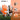 LX INDIA Football Glove Vector X Gripflex Goalkeeper Goalie Soccer Football Gloves White Black Orange