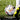 LXINDIA Football Vector X Vector X Venomous PVC Material Machine Stitched Football (White Orange) Size 5