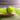 LX INDIA Tennis Ball VFK by Xtrim Cricket Ball (Pack of 6), Tennis Ball for Cricket Tournament