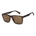  Frame Tortoise / Lens Brown