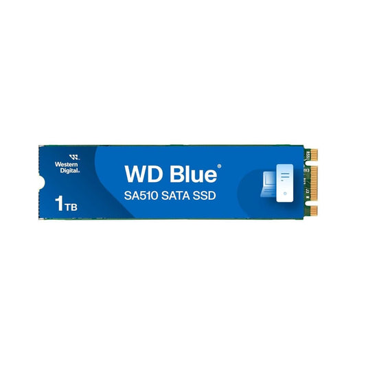 LXINDIA ssd WD Blue SA510 M.2 1TB Internal SSD (WDS100T3B0B)