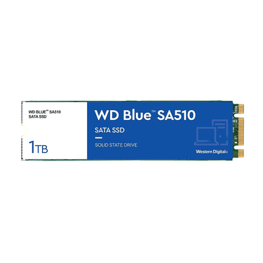 LXINDIA ssd WD Blue SA510 M.2 1TB Internal SSD (WDS100T3B0B)