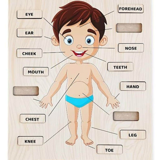 LX INDIA puzzle Webby Wooden Body Parts Learning Puzzle Board for Montessori Kids