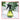 LX INDIA Lawn and Gardening wolpin 1Pc Garden Water Sprayer Manual Spray Bottle For Gardening Plants 500 milliliter