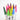LXINDIA Sketch Pen worison Dual Tip Brush sketch Pens