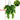 LX INDIA Plants WYTE ORIGIN 1Pcs Artificial Hanging Plants Fern Vine  (1Pcs) (Green-1)