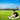 LX INDIA football socks XJARVIS MACAO Sports Socks Long Knee-High Football-Black