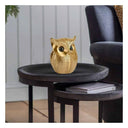 LXINDIA Show Piece Xtore Modern Classy Lucky Owl Resin Art Figure Showpiece (Golden)