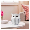 LXINDIA Show Piece Xtore Modern Classy Lucky Owl Resin Art Figure Showpiece