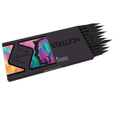 LXINDIA Pencil YOUVA Navneet Stallion Pencil (Pack of 2)  20 Pencils