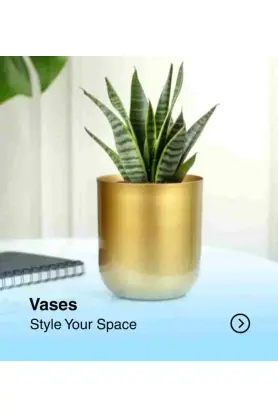 Modern Decorative Indoor Planter for Home & Office | Stylish Plant Pot for Living Room, Balcony & Desk